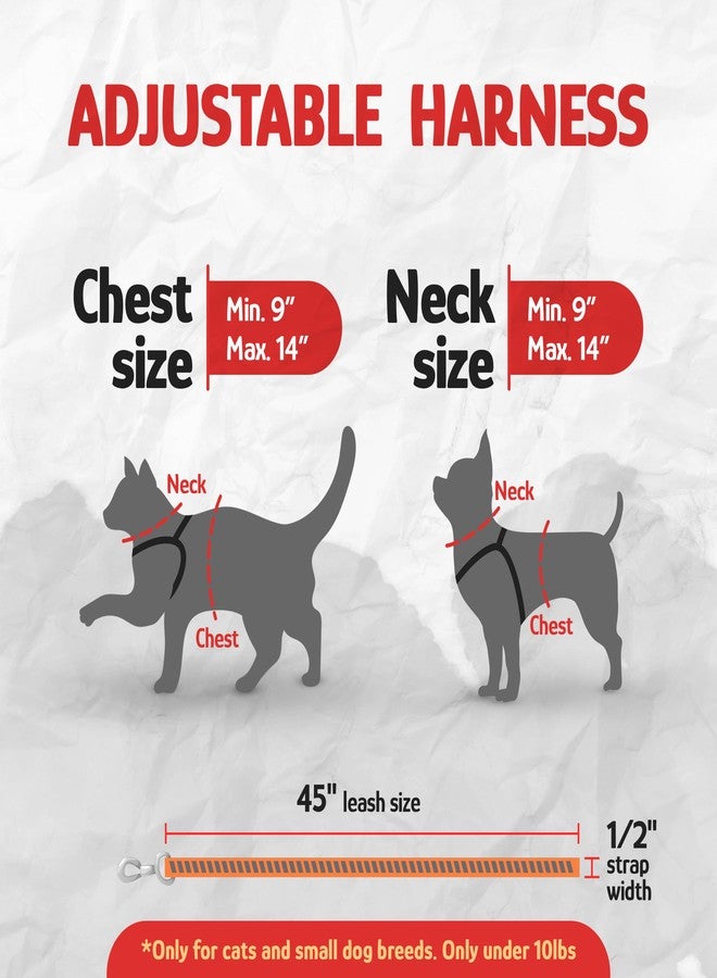 Filbert Cat Harness and Leash Set with Reflective Strip, Thin Cat Harness Escape Proof with Leash, Step-in, Adjustable, Indoor Outdoor, Easy-to-Put-On - Image 3